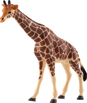 Animal Planet Giraffe
