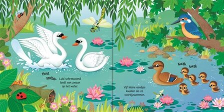 Geluidenboekje Vogels