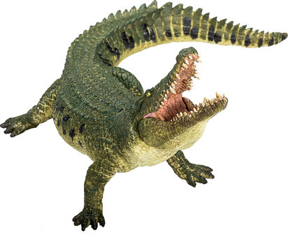 Animal planet Krokodil met gelede kaak
