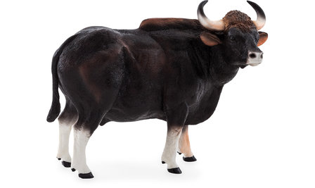 Animal Planet Gaur Bull