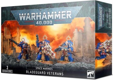 Warhammer 40.000 - Space Marines: Bladeguard Veterans