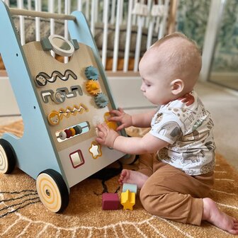 Bigjigs baby walker activiteiten