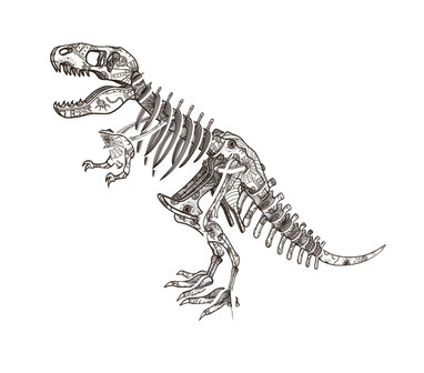 Eureka Puzzelbook Dinosaurussen