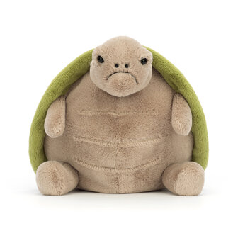 Jellyact Timmy Turtle