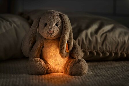 Steiff-Light at Night Hoppie rabbit light grey-28 cm