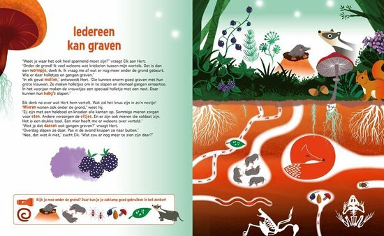 Zaklampboek- Speuren in het bos
