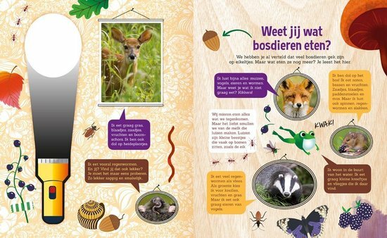 Zaklampboek- Speuren in het bos