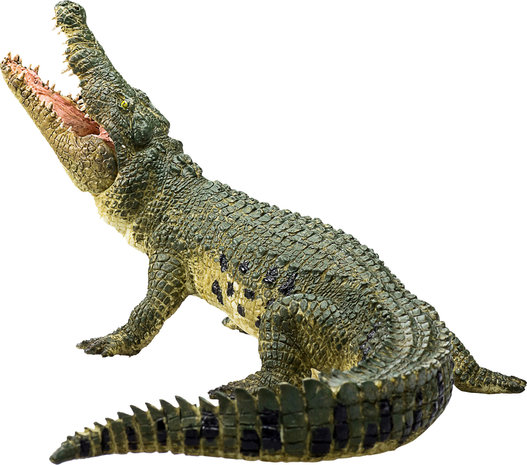 Animal planet Krokodil met gelede kaak