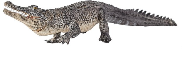 Animal Planet Alligator Met Bewegende Kaak