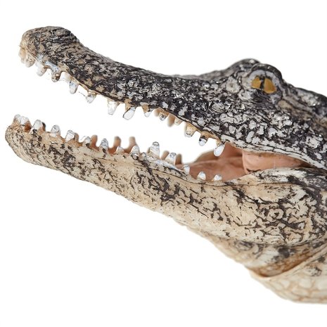 Animal Planet Alligator Met Bewegende Kaak