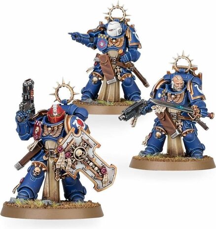 Warhammer 40.000 - Space Marines: Bladeguard Veterans