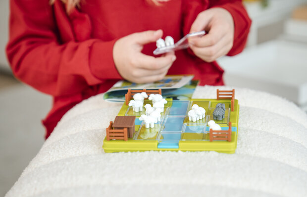 Smart Games-Schaapjes Tellen